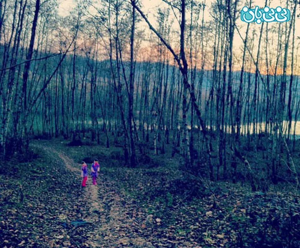 سارا و نیکا فرقانی، دوقلوهای پایتخت