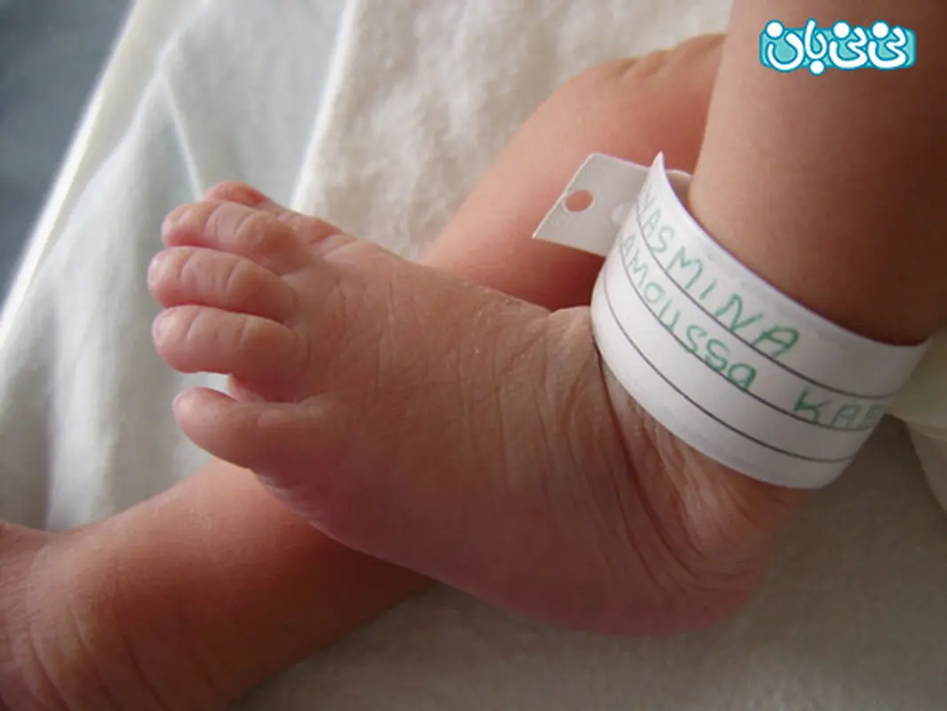 ستاره های ایرانی و انتخاب اسم برای بچه هایشان