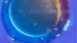 تصویری/مراحل رشد جنین انسان