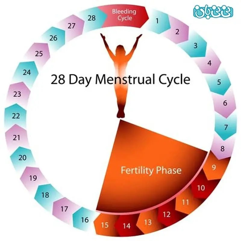 شما فقط یک روز شانس دارید!