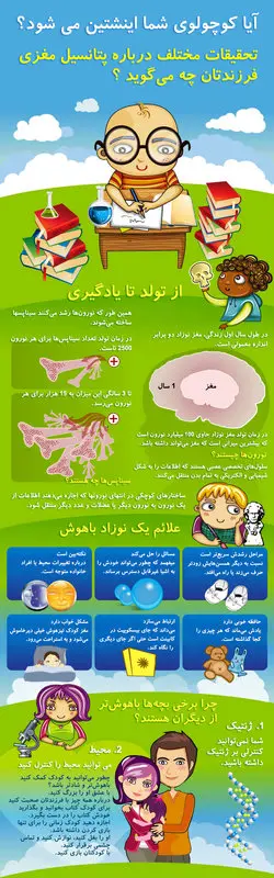 رشد ذهنی نوزاد، اینفوگرافی