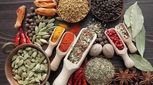داروی گیاهی هم باید تحت نظر پزشک مصرف شود 