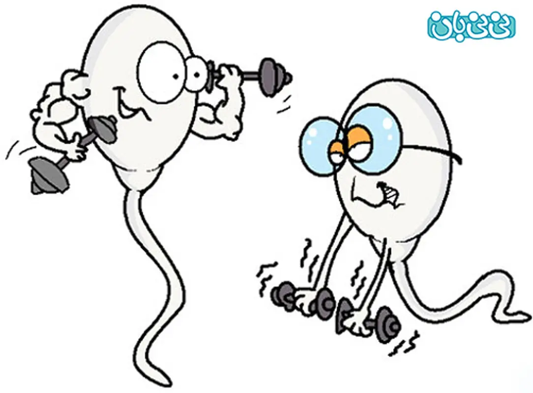 چه چیزی باعث افزایش غلظت منی می شود؟