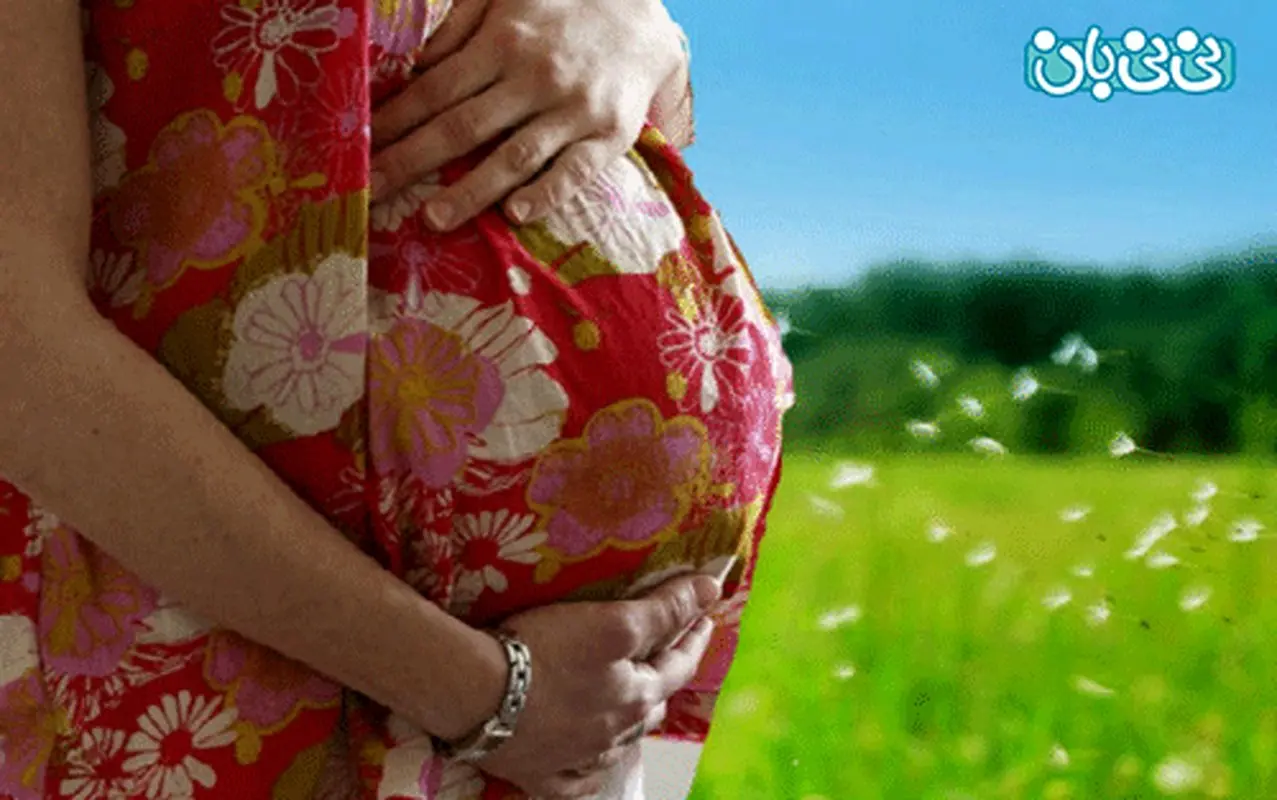 گیاهان دارویی ممنوع در بارداری؛ جدول کامل  + هشدارهای پزشکی