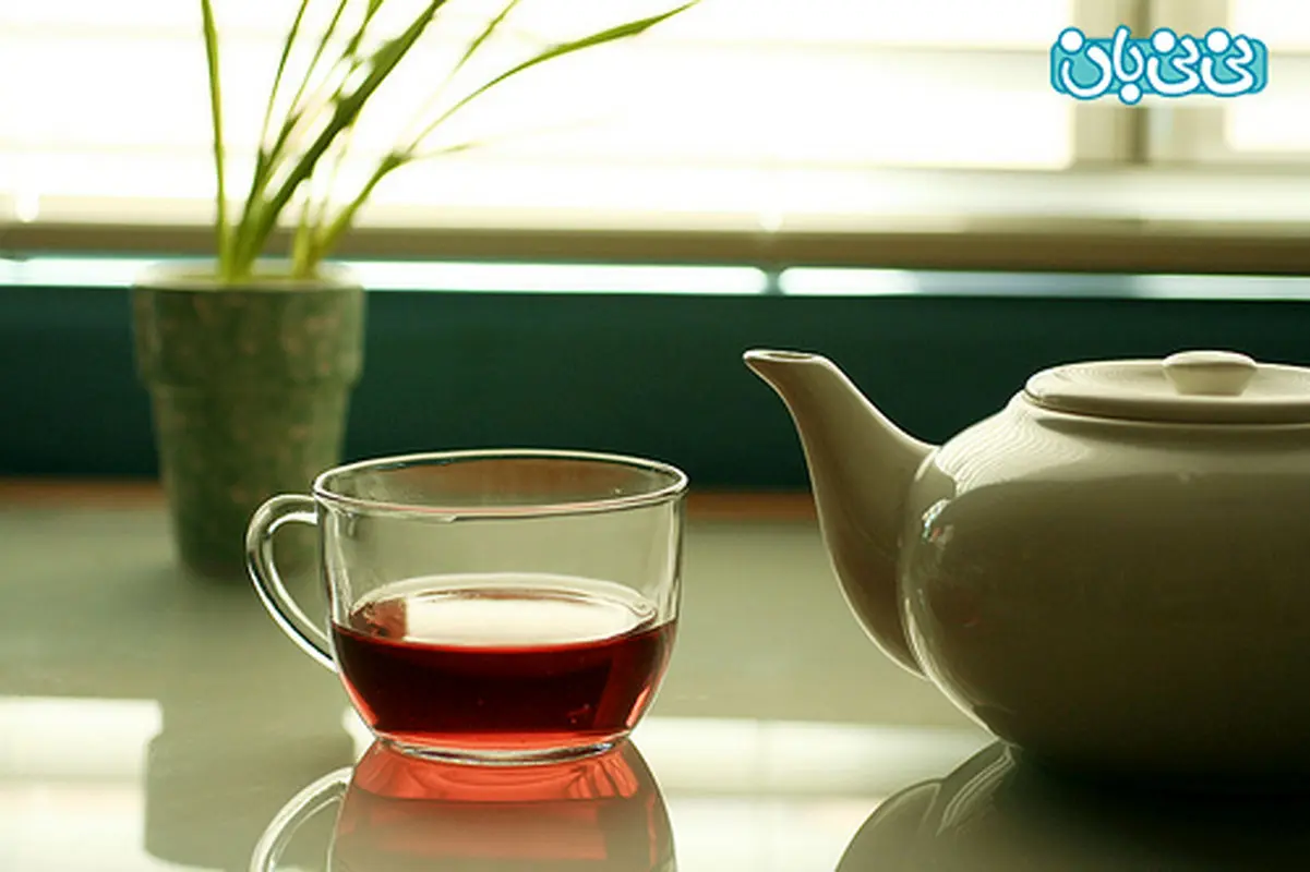 چای گیاهی در بارداری، چند پیشنهاد مفید