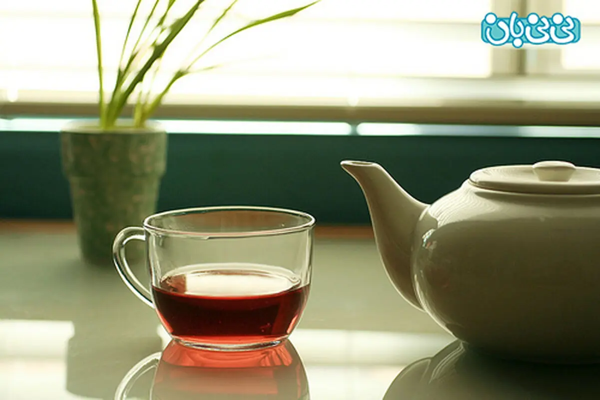 چای گیاهی در بارداری، چند پیشنهاد مفید