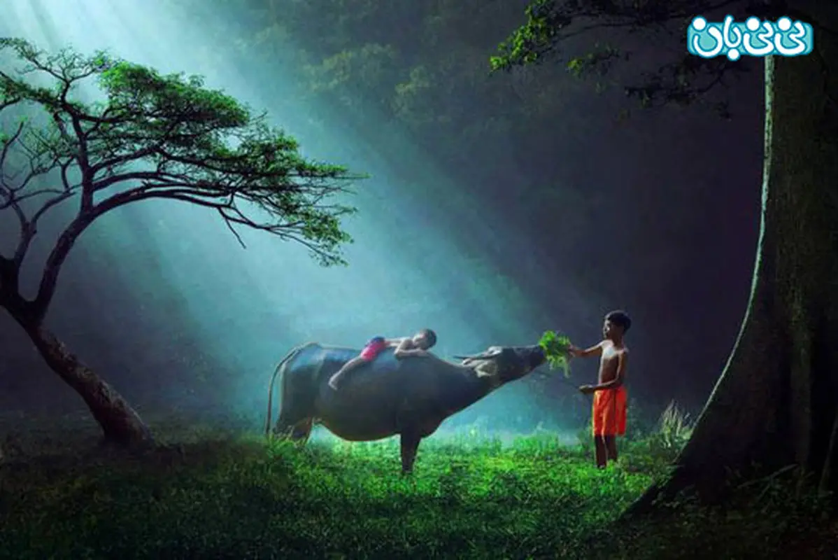 انواع بازی کودکان، تصاویری بسیار دیدنی