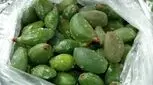 خطرات خوردن چغاله بادام را جدی بگیرید!
