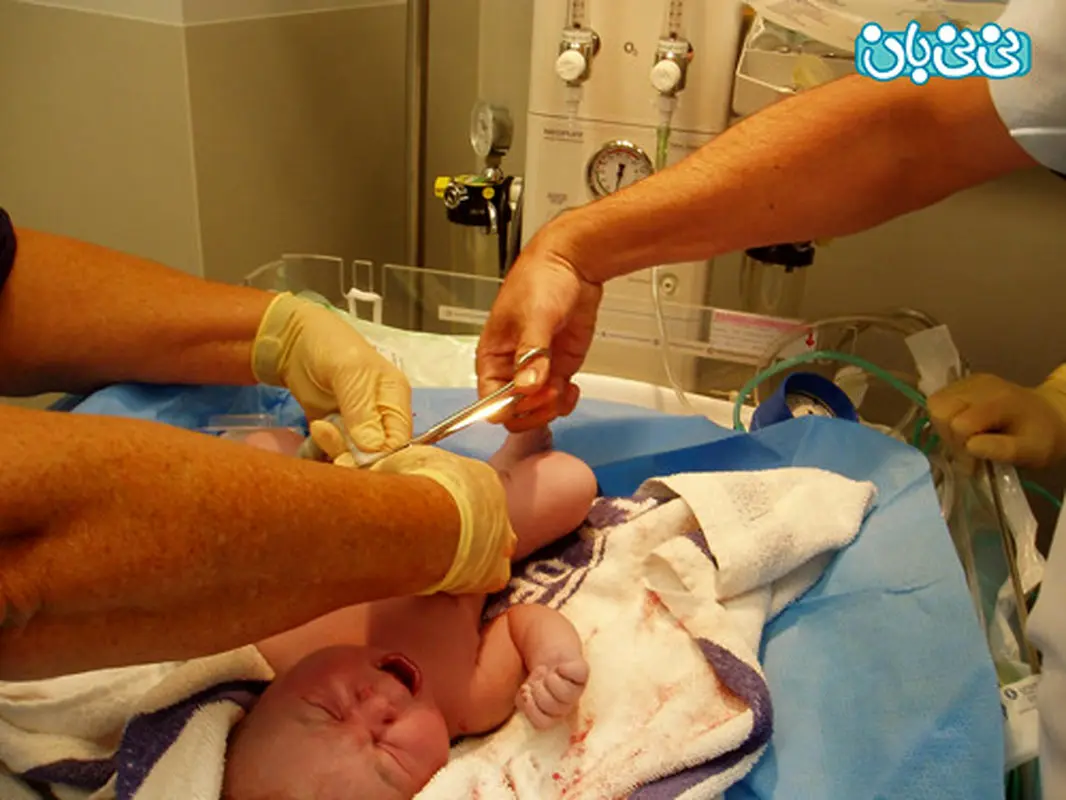 همه چیز درباره ذخیره خون بندناف نوزاد (1)