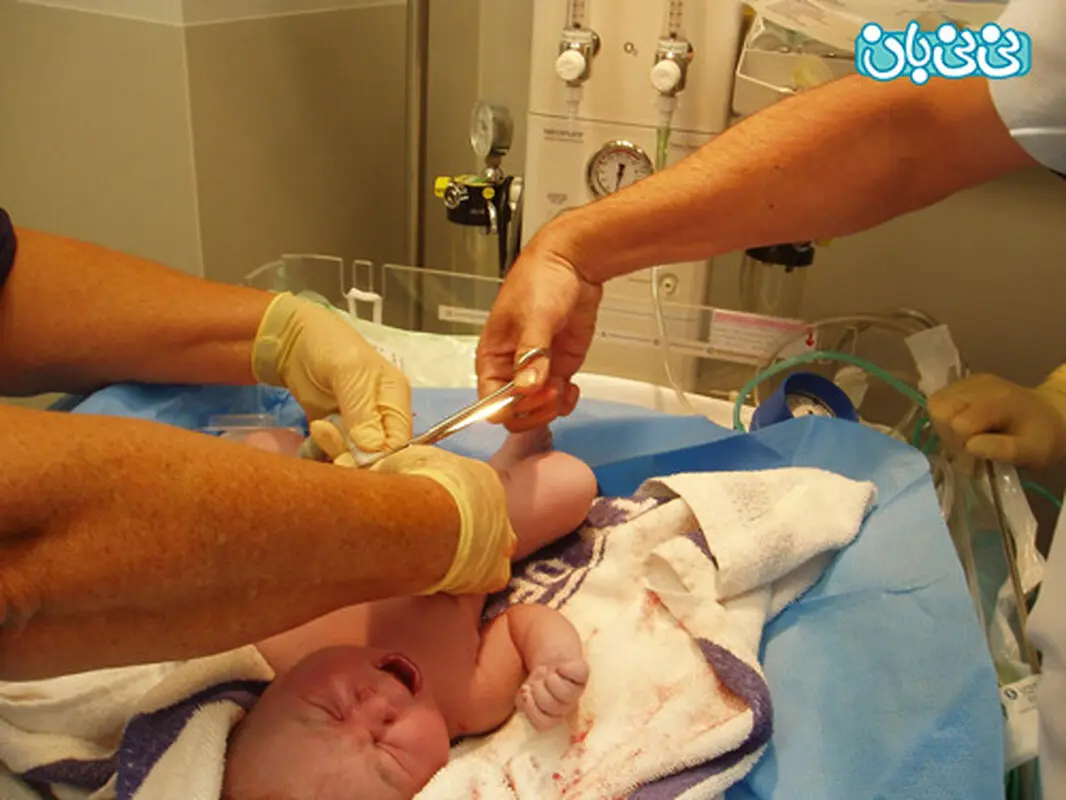 همه چیز درباره ذخیره خون بندناف نوزاد (1)