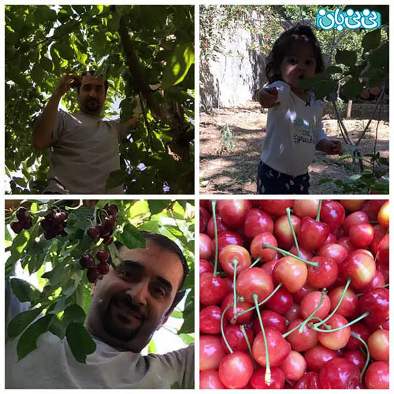 نیما کرمی و فرزندش، گیلاس چینی