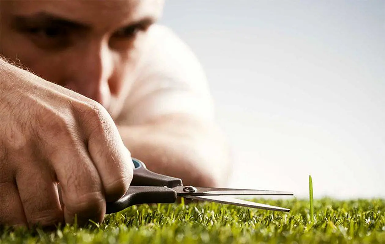 ریسک‌پذیر باشید/ کمال‌گرایی همیشه هم خوب نیست 

