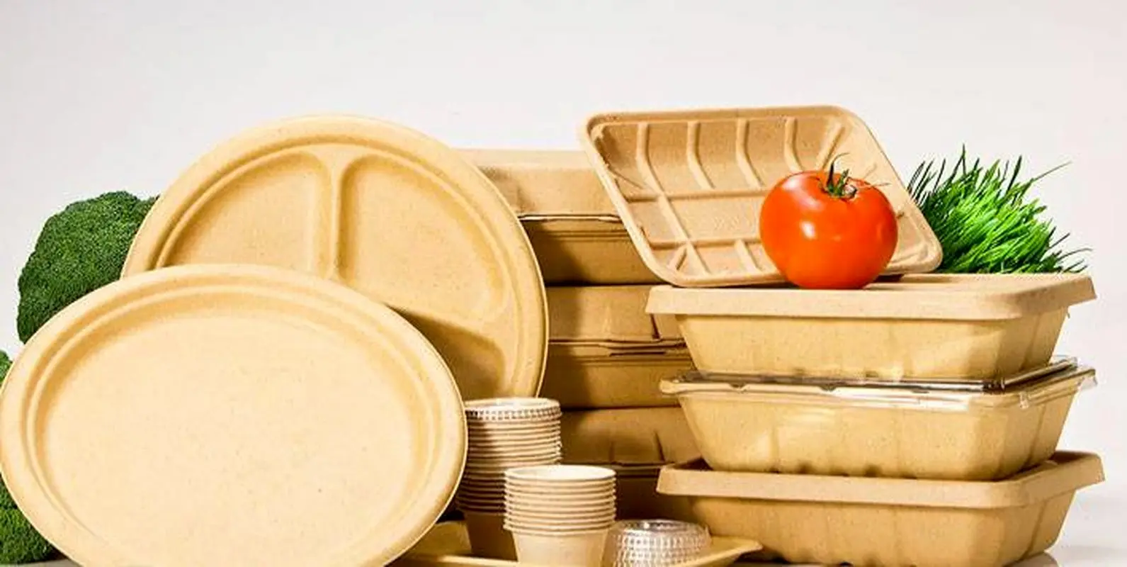 فقط از ظروف یکبار مصرف آلومینیومی و گیاهی استفاده کنید