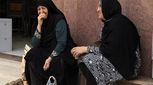 تخمه با دندان‌ها چه می‌کند؟