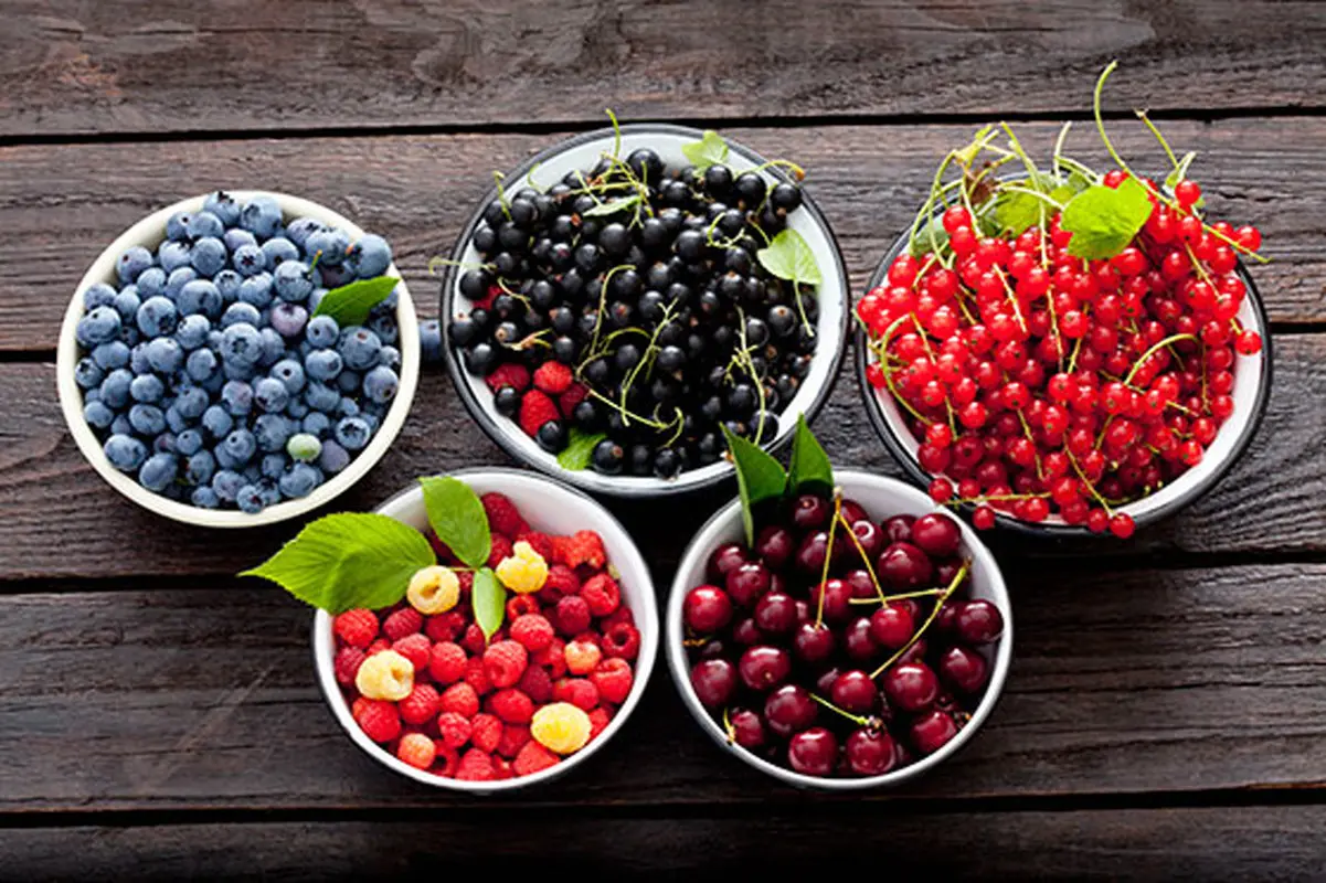 کدام نوع توت سالم‌تر و مغذی‌تر است؟