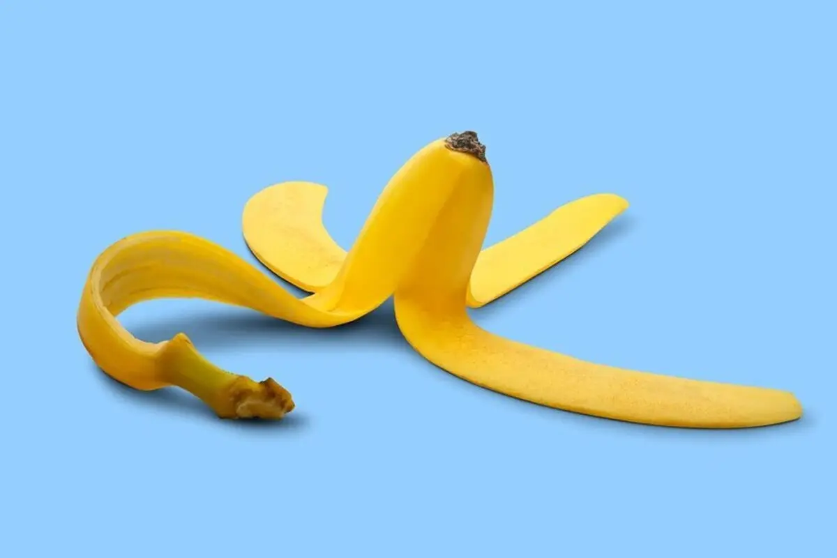 پوست موز چگونه معجزه می کند؟ 