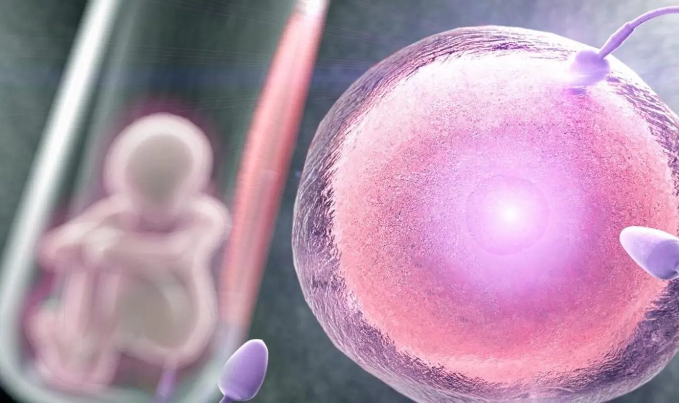 شاید این حقیقت را درباره IVF ندانید