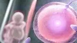 شاید این حقیقت را درباره IVF ندانید
