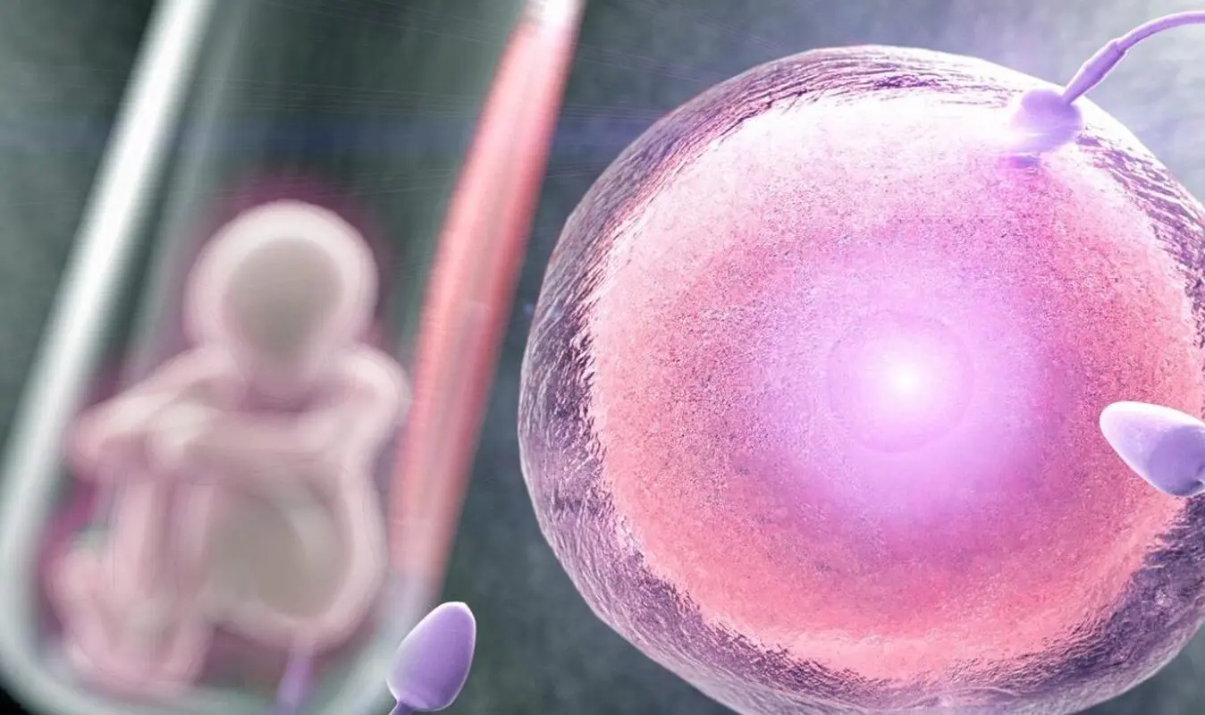 شاید این حقیقت را درباره IVF ندانید