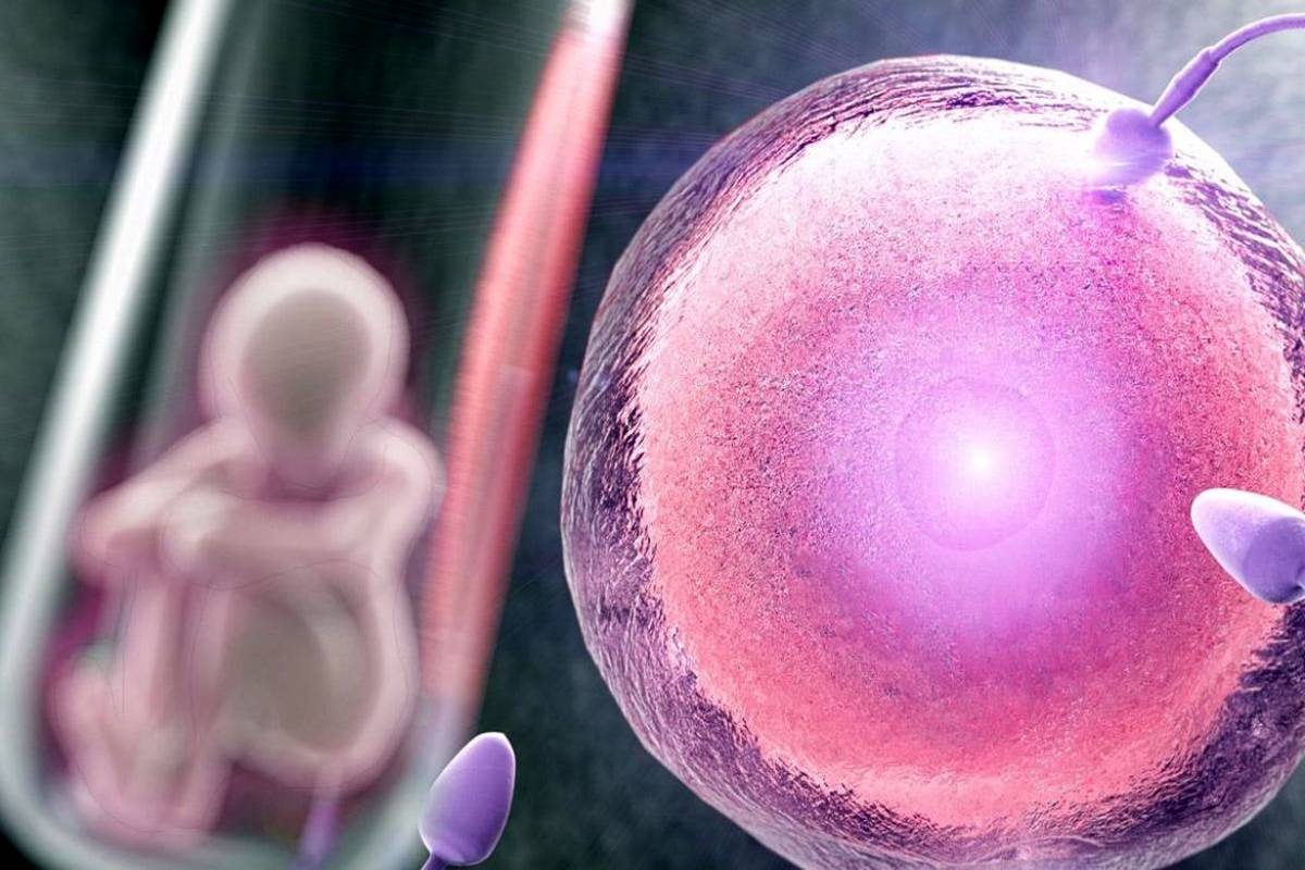 شاید این حقیقت را درباره IVF ندانید