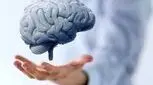 پیری مغز با استرس دوران کودکی 