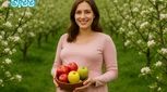7 خاصیت خوردن سیب در بارداری + مضرات احتمالی و احتیاط های لازم