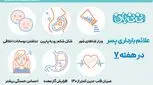 علائم بارداری پسر در هفته 7 چیست؟ از هفته اول تا هفتم