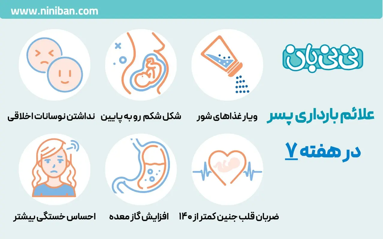 علائم بارداری پسر در هفته 7 چیست؟ از هفته اول تا هفتم