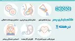 علائم بارداری پسر در هفته 7 چیست؟ از هفته اول تا هفتم