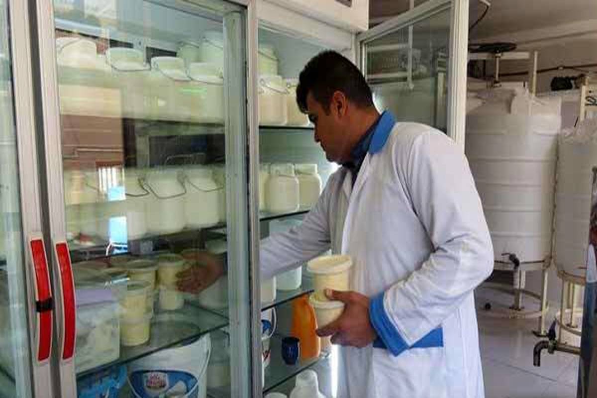 اگر لبنیات سنتی مصرف می‌کنید این هشدار را جدی بگیرید 

