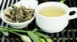 خواص چای سفید برای بدن / از لاغری تا آرامش اعصاب