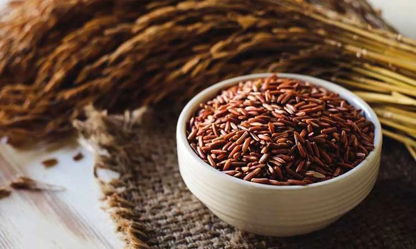 در خوردن برنج قهوه‌ای احتیاط کنید/ آرسنیک دارد


