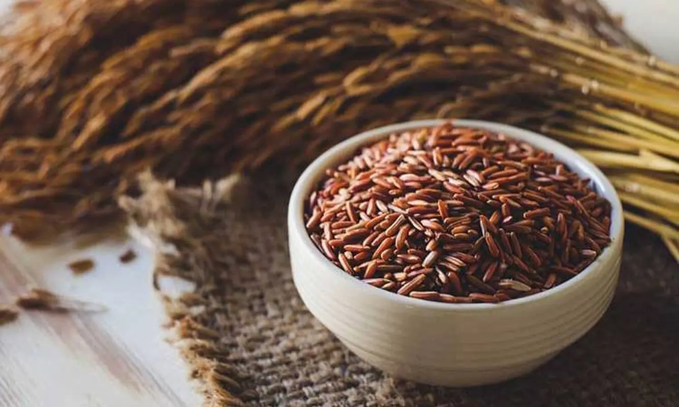 در خوردن برنج قهوه‌ای احتیاط کنید/ آرسنیک دارد

