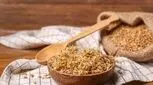جوانه گندم، جوانه زندگی 