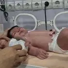 تولد دو نوزاد با اختلاف وزن ۱۱ برابری در بندرعباس!