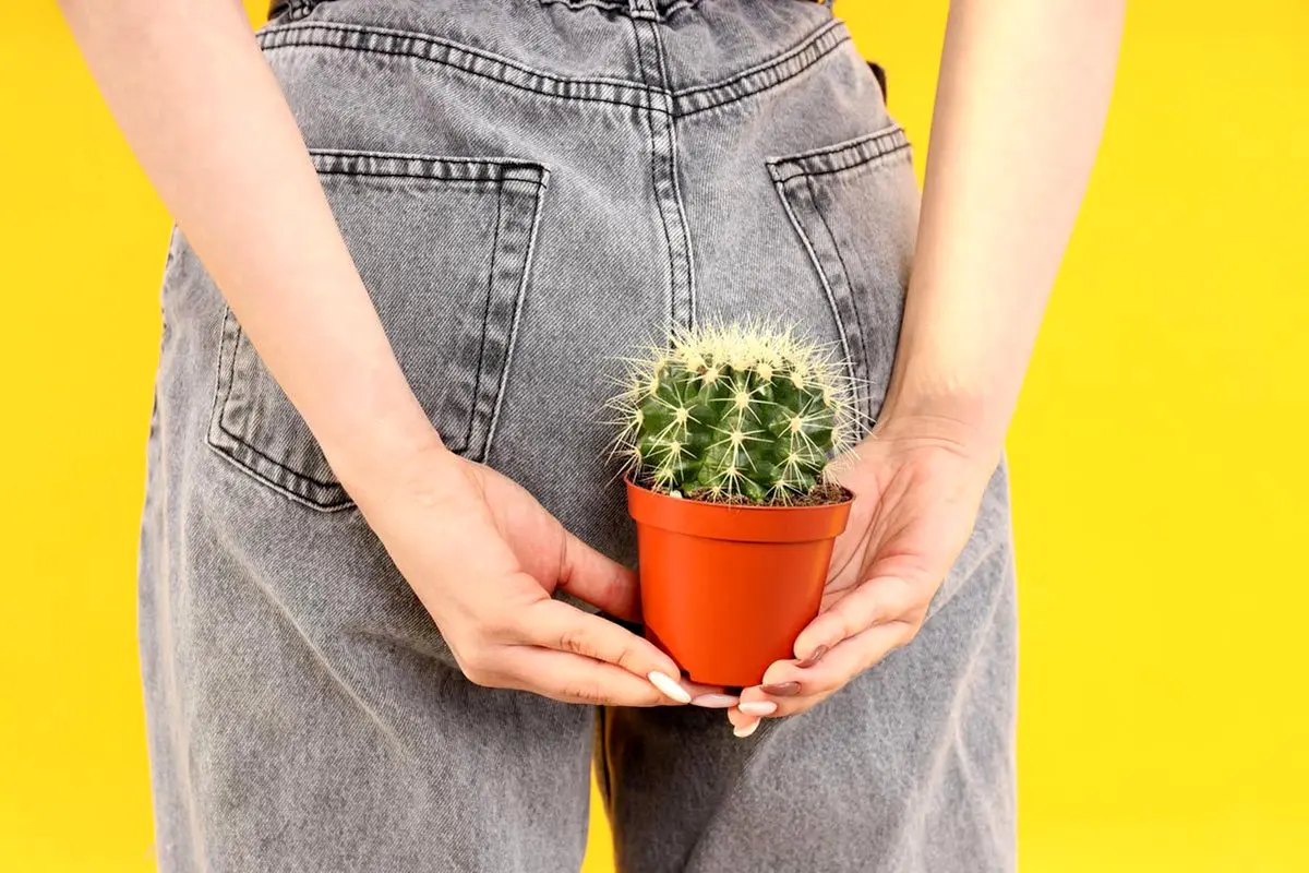 درمان زگیل مقعدی/ ویدئو