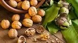 خواص گردو برای مغز کودک در حال رشد