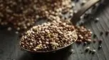 کینوا چیست؟ خواص و نحوه مصرف