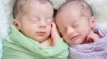 دو قلوزایی، روشهای طبیعی و دارویی