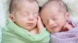 دو قلوزایی، روشهای طبیعی و دارویی
