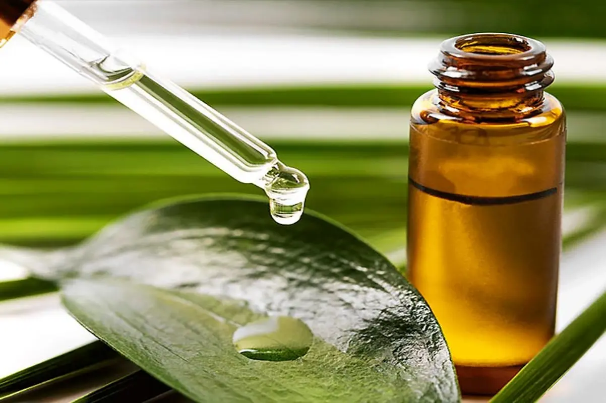 فواید بینظیر روغن درخت چای!