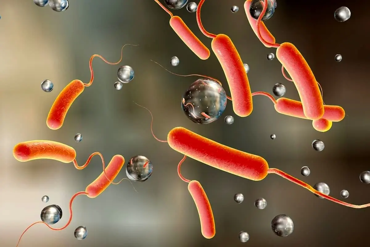 مراقب باشید/ وبا با بهار می‌آید 

