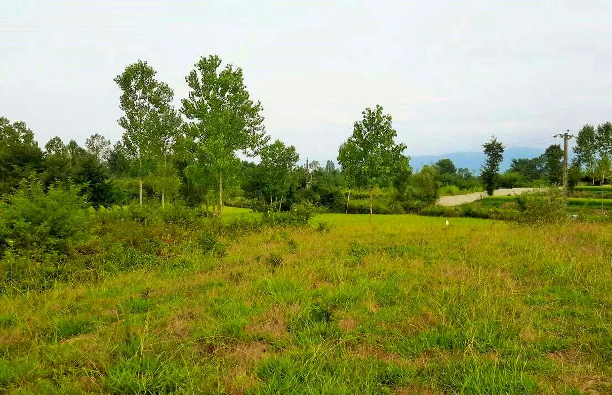 باز هم خطه شمال، باز هم یک فوتبالیست سودجوی دیگر!