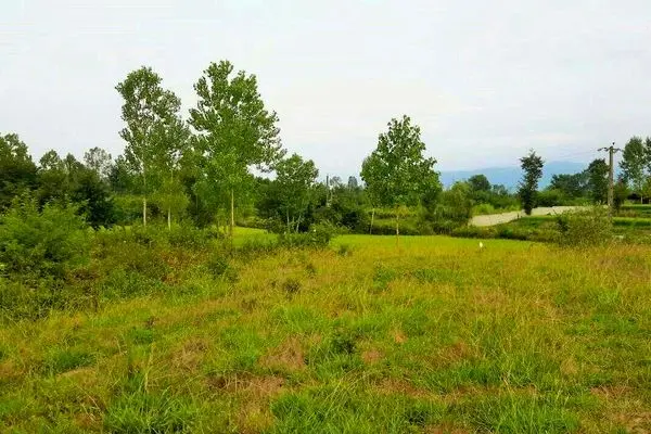 باز هم خطه شمال، باز هم یک فوتبالیست سودجوی دیگر!