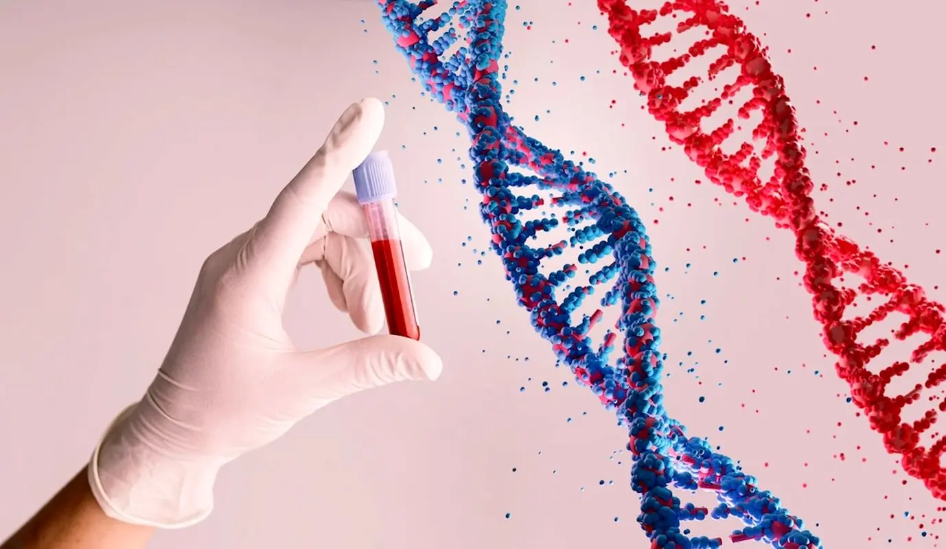 تست ژنتیکی پیش از لانه گزینی (PGD/PGT) چیست؟