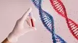تست ژنتیکی پیش از لانه گزینی (PGD/PGT) چیست؟