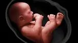 مهم‌ترین راهکارهای حفظ سلامت مادر و جنین در برابر عفونت‌های ویروسی