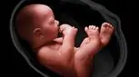 مهم‌ترین راهکارهای حفظ سلامت مادر و جنین در برابر عفونت‌های ویروسی