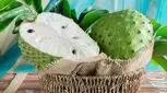با این میوه ضدسرطانی آشنا شوید 