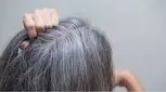 موهای سفید سر را با چه رنگی از بین ببریم؟ 